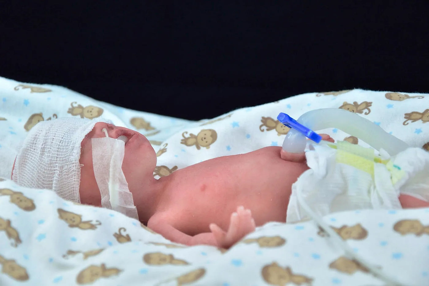 Saving Lives on World Prematurity Day: Meet NENASim Preemie