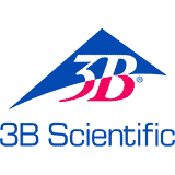 American 3B Scientific