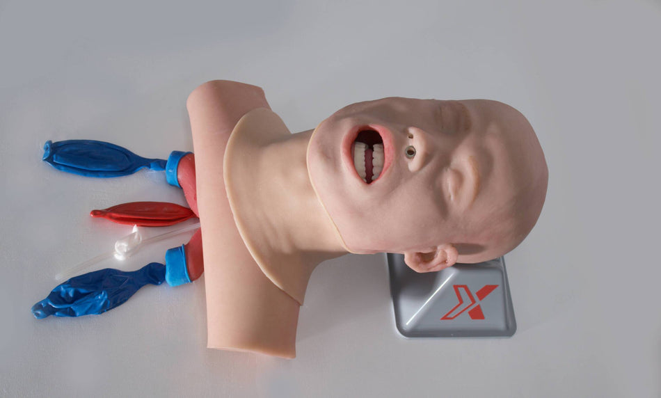Airway Management Trainer