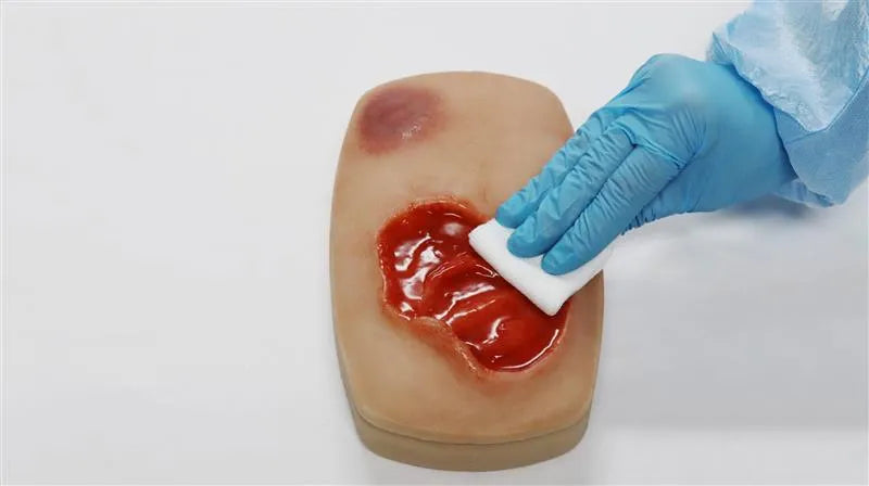 Wound Care & Injection Task Trainer